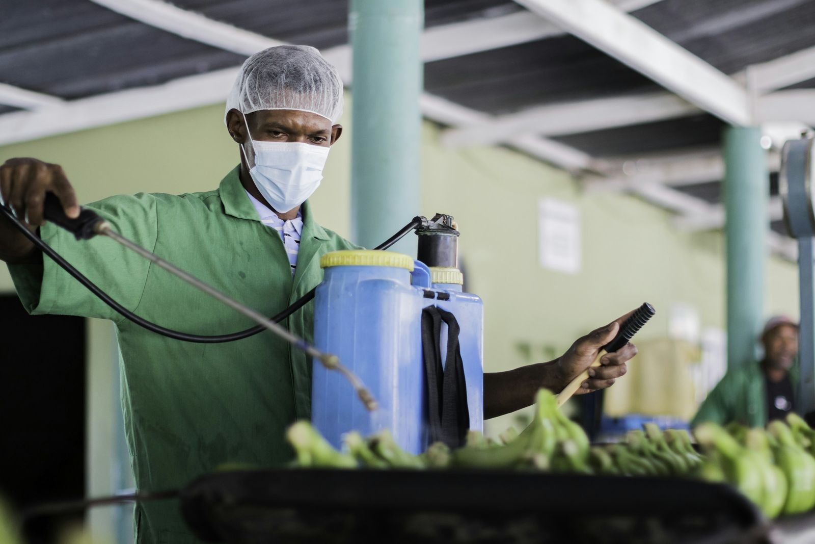 Un técnico con mascarilla y bomba de espalda aplica producto en una empacadora