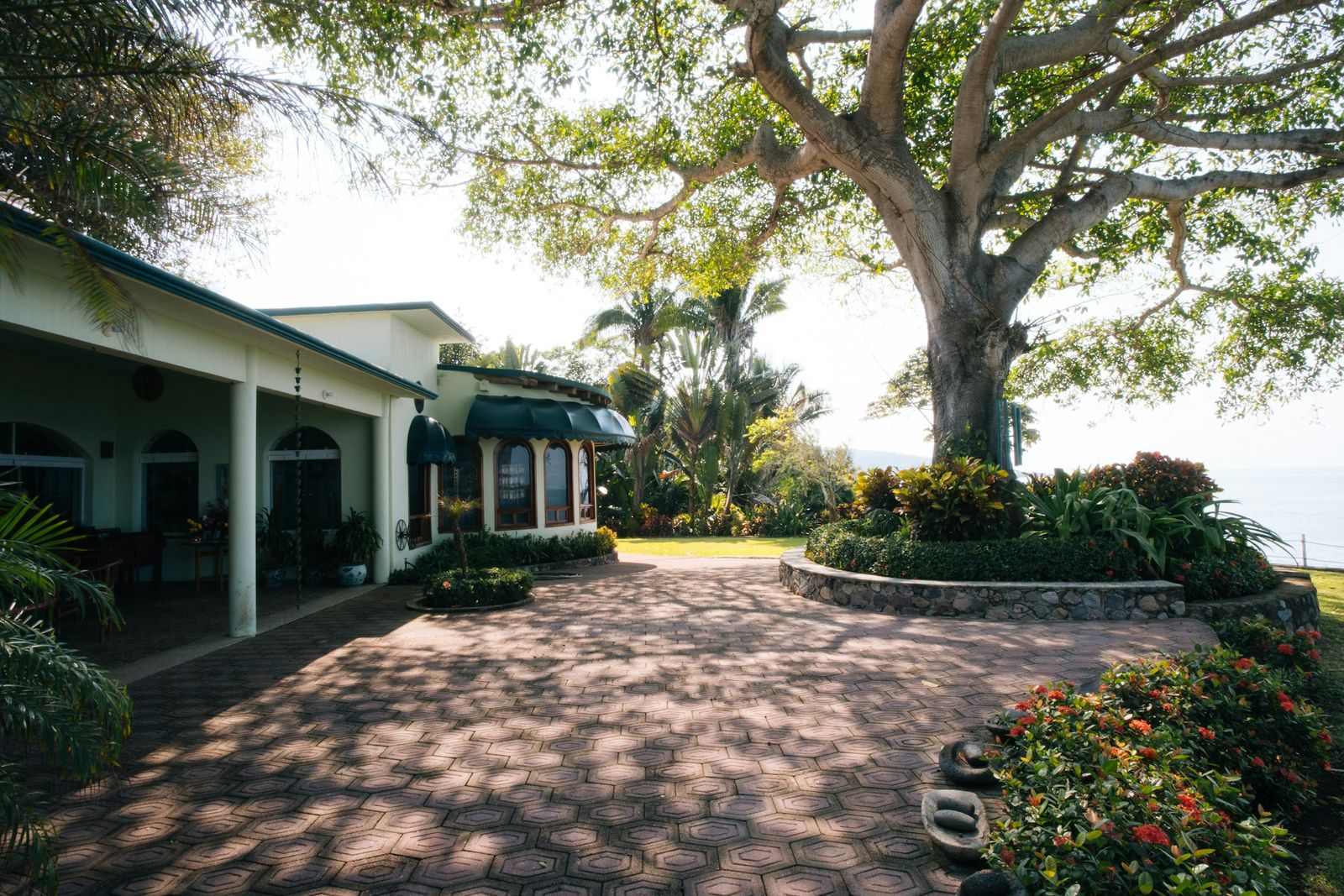Patio de una casa con un árbol grande