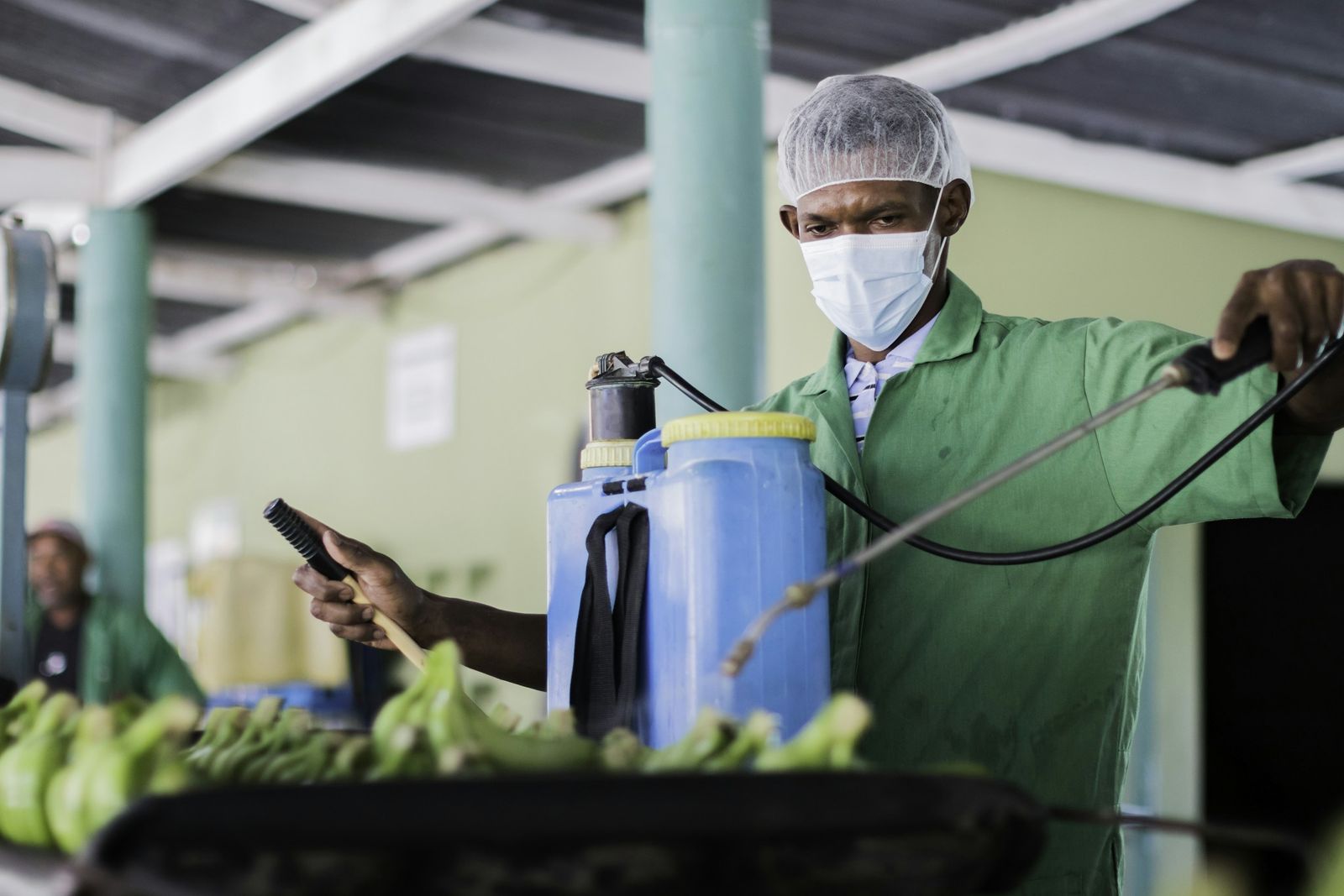 Un técnico con mascarilla y bomba de espalda aplica producto en una empacadora
